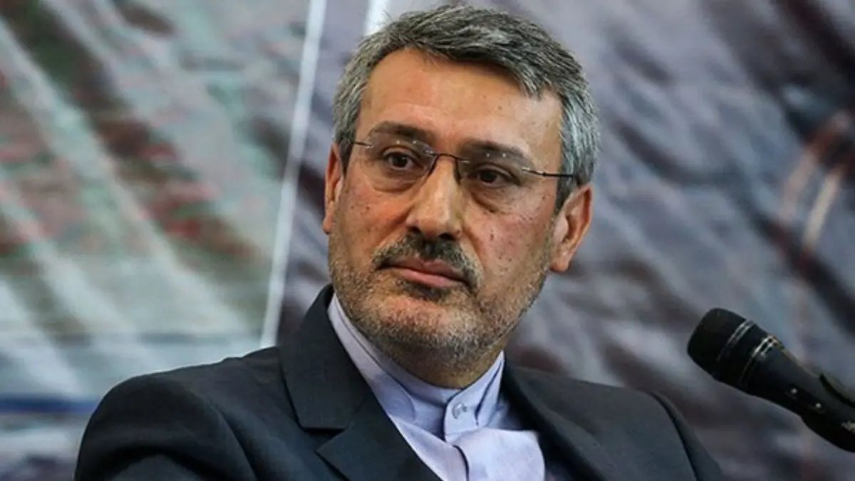 توئیت بعیدی‌نژاد درباره بازگشت ایرانیان از لندن +عکس