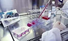 ساخت نانوذرات با کاربردهای متنوع در پزشکی و زیست‌فناوری