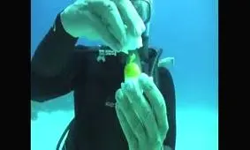 شکستن تخم مرغ در عمق 18 متری اقیانوس