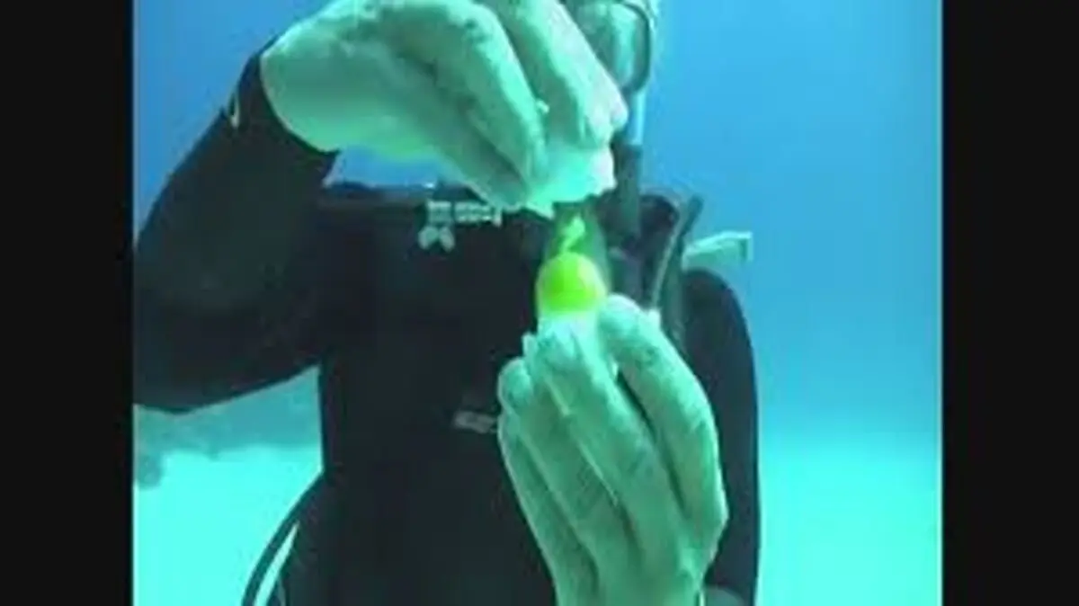 شکستن تخم مرغ در عمق 18 متری اقیانوس