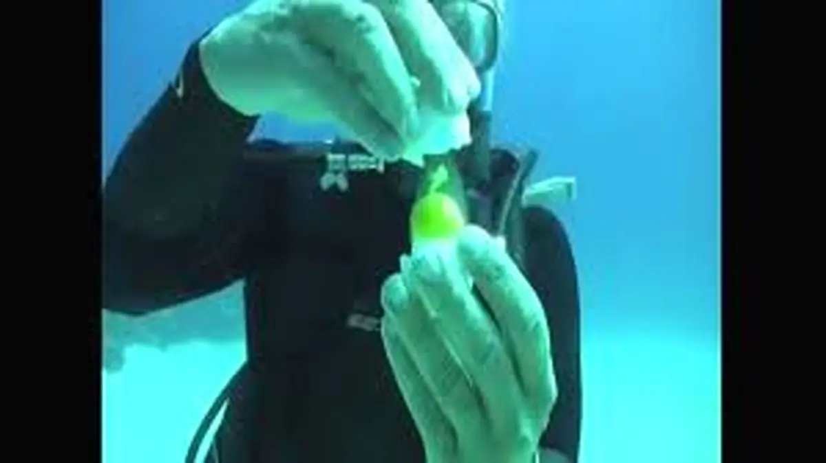 شکستن تخم مرغ در عمق 18 متری اقیانوس