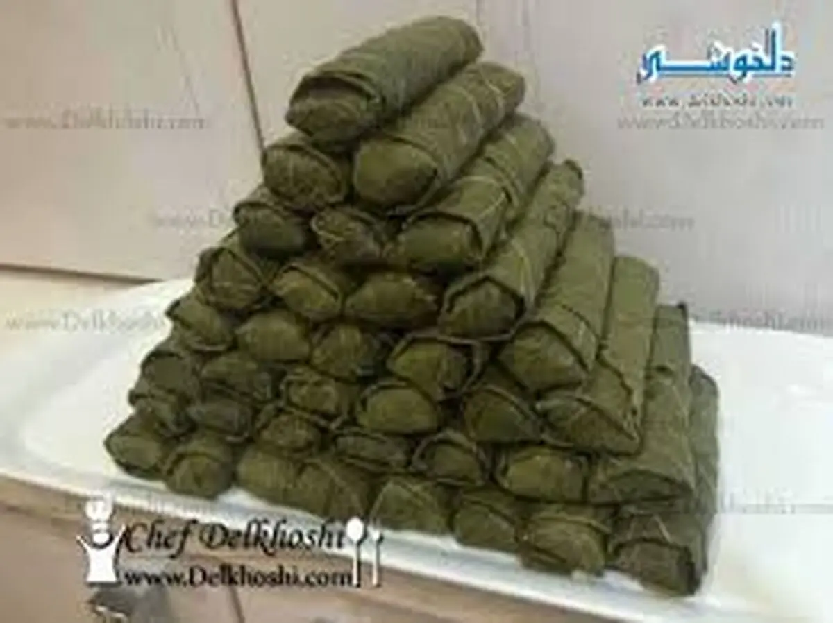 طرز تهیه دلمه برگ مو و روش پیچیدن