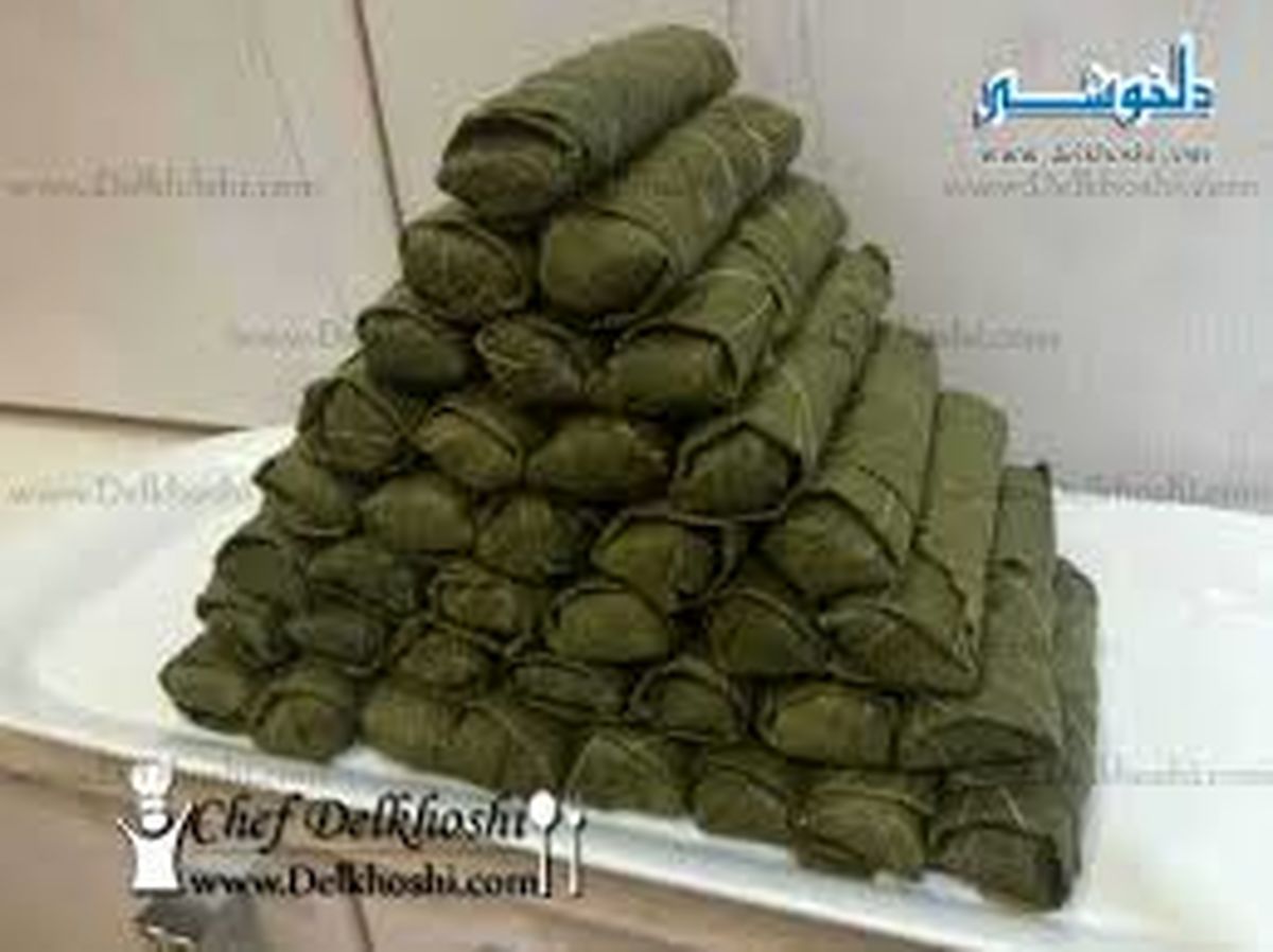 طرز تهیه دلمه برگ مو و روش پیچیدن