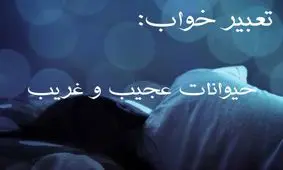 تعبیر خواب حیوانات عجیب و غریب چیست؟