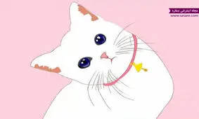 بهترین حیوان خانگی چیست؟