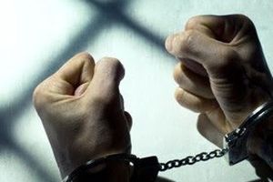 "فری دست طلا" دستگیر شد