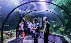 ویدئو/آیا می دانستید بزرگترین آکواریوم خاورمیانه در بندرانزلی است؟!