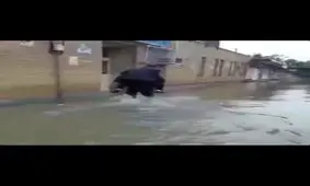 ویدئو/سواری گرفتن یک مسئول از کارمندش!؟