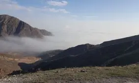 عکس/نمای زیبایی از شهر مشهد