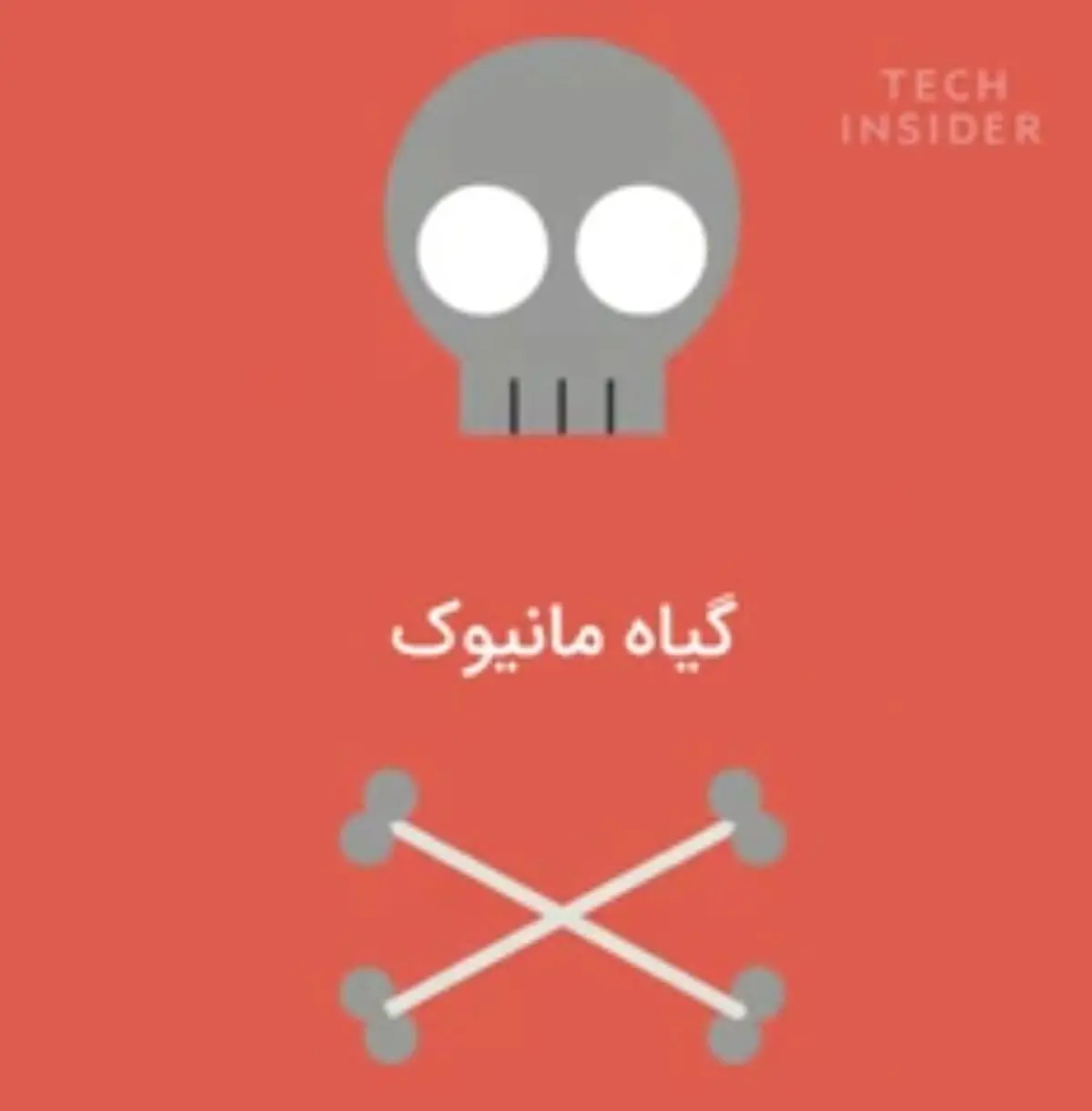 5 مورد از مـــرگبارترین غذا های دنیا
