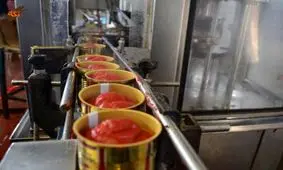 کشف ۱۳۵ تن رب گوجه قاچاق در پایانه مرزی چذابه