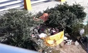 زندگی عجیب کارتن‌خوابی که می‌توانست امام‌جماعت باشد