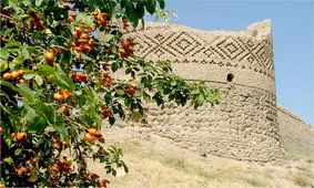 الحاق بیمارستان قدیمی مشگین شهر به محوطه تاریخی «کهنه قلعه»