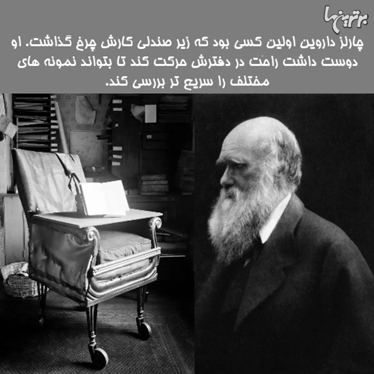دانستنی‌های جالب؛ صندلی چرخدار داروین