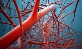 جلوگیری از خونریزی در کمتر از 10 ثانیه با بندآورنده‌های نانو الیاف پپتیدی