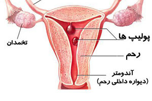 واژن‌تان را بهتر بشناسید