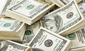 تاکید فعالان اقتصادی بر لزوم حرکت آرام‌تر دلار/ نرخ دلار در آستانه واقعی شدن است