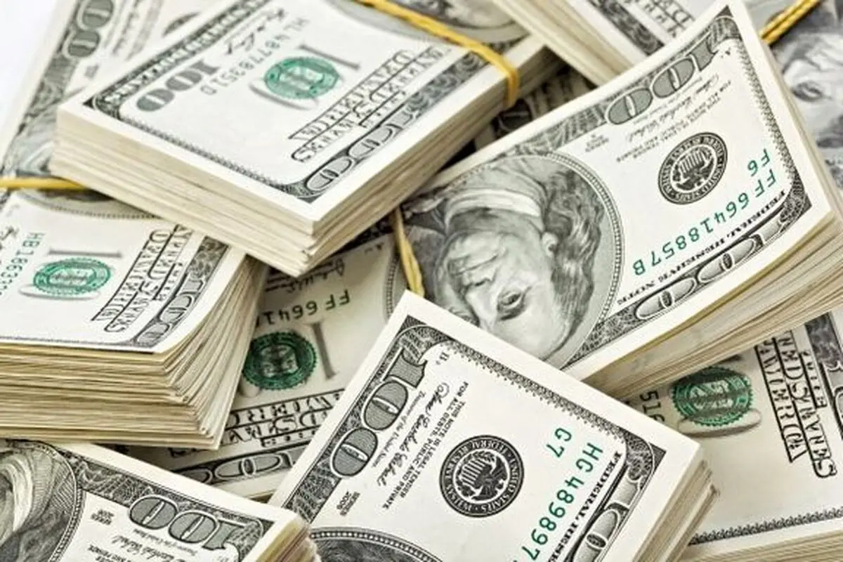 تاکید فعالان اقتصادی بر لزوم حرکت آرام‌تر دلار/ نرخ دلار در آستانه واقعی شدن است