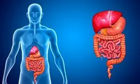 مهم ترین بیماری ها در دستگاه گوارش