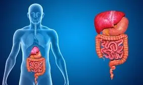 مهم ترین بیماری ها در دستگاه گوارش