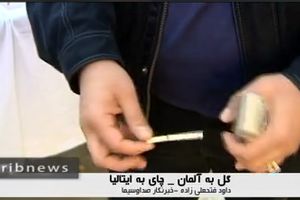 گل به آلمان و چای به ایتالیا + فیلم