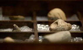 ۱۱هزار شیء تاریخی به ایران باز می‌گردد