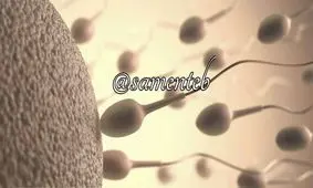 مردان فاقد اسپرم