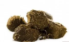 خواص عنبر نسارا برای سرماخوردگی و آنفولانزا و سایر بیماری ها