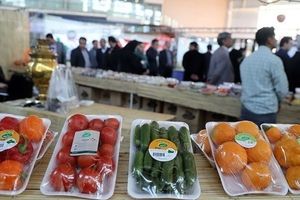غذای 9 میلیون ایرانی دور ریخته می شود!