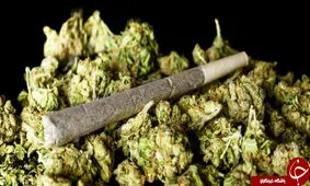 "گل"؛ دومین مخدر پُرمصرف ایران