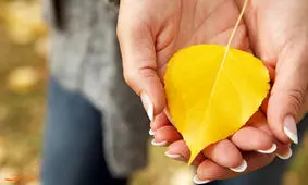 چگونه زندگی خود را در یک روز تغییر دهیم؟