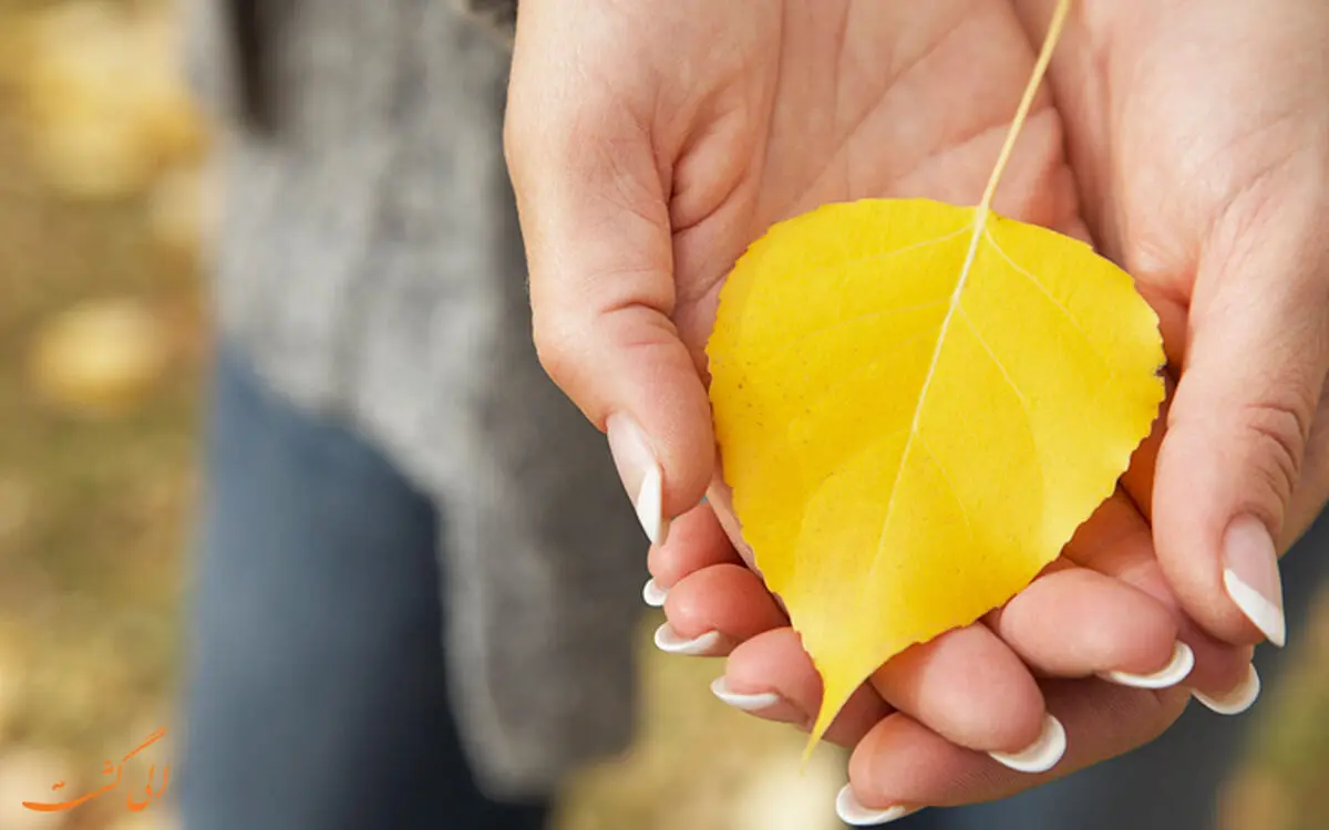 چگونه زندگی خود را در یک روز تغییر دهیم؟