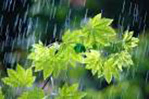 ۸۰ درصد بارندگی ها از لرستان خارج می شود