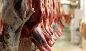 خطرات مصرف گوشت قرمز