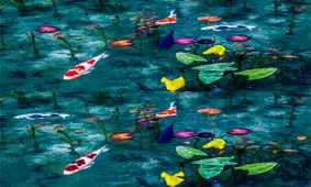 اختلاف تصاویر را بیابید