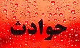قطع درخت موجب جان باختن یک نفر در گلستان شد