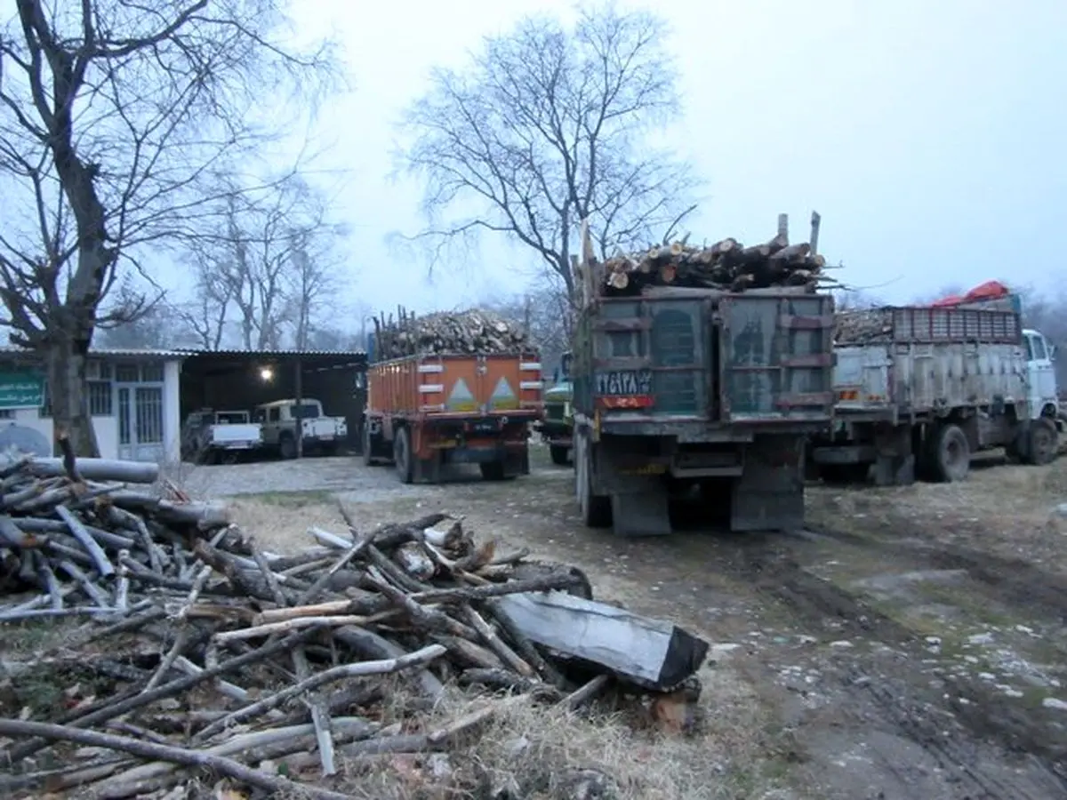 کشف بیش از ۸ میلیارد تومان چوب و ادوات جنگلی در ممسنی