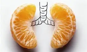 سلامت ریه ها را با 7 گام موثر تضمین کنید