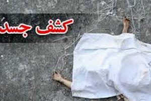 راز جسد برهنه دختر 15 ساله در پارک+عکس