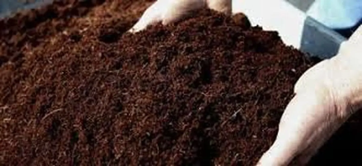 خاک ایران همچنان قاچاق می‌شود