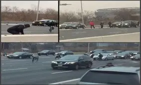 ریختن 300 هزار دلار از خودرویی در آمریکا+عکس