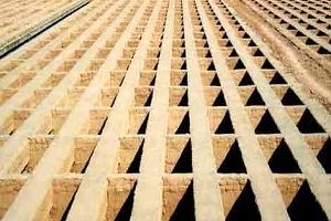 قبر رایگان به بومیان قم اختصاص داده می‌شود