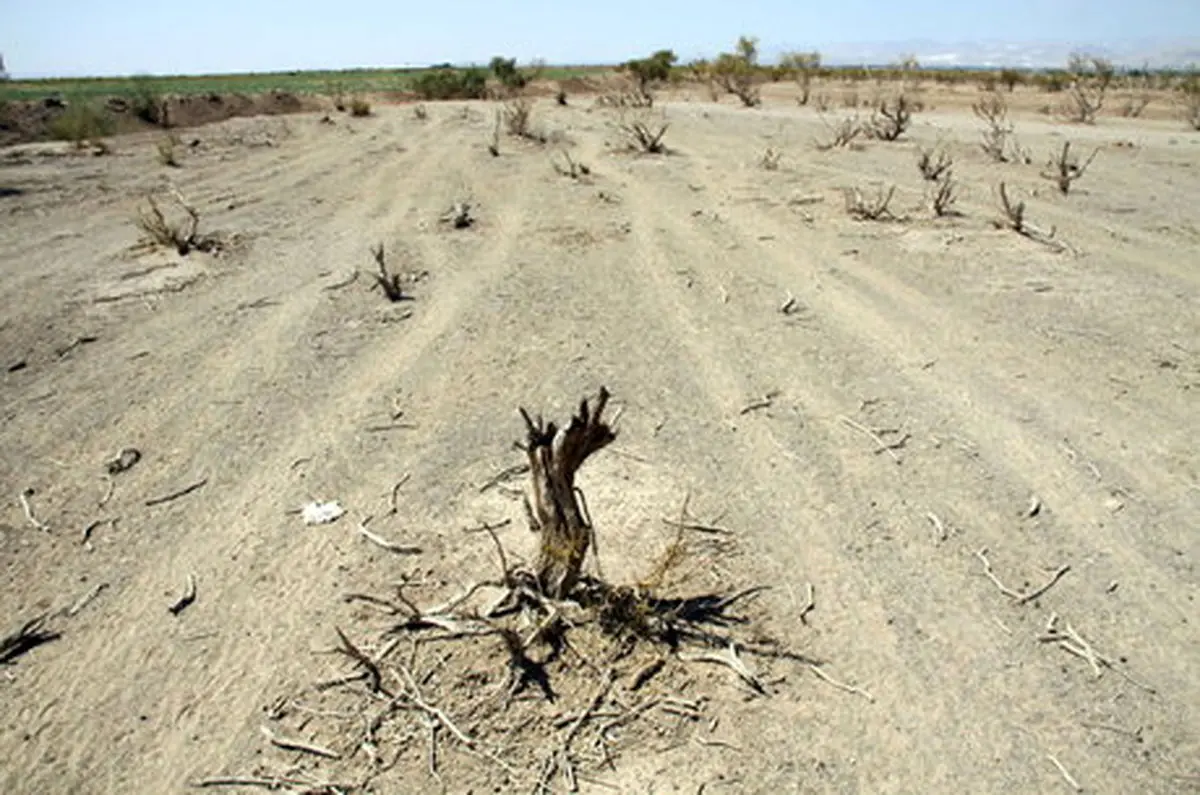 دیدن صحنه‌های مشکوک در تاغرارهای اشتهارد