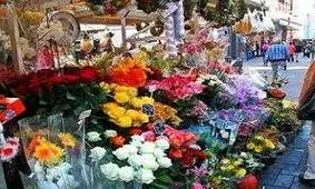 جزئیات قیمت گل در آستانه شب یلدا/ نوسان قیمت گل در هفته جاری