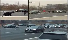 باران پول در اتوبان پس از تصادف خودروی حمل اسکناس! + فیلم