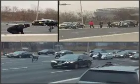 باران پول در اتوبان پس از تصادف خودروی حمل اسکناس! + فیلم
