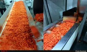 ماجرای تولید پفک با خوراک دام واقعیت دارد؟