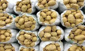 هنوز یارانه صادرات سیب‌زمینی‌کاران لرستان پرداخت‌ نشده است