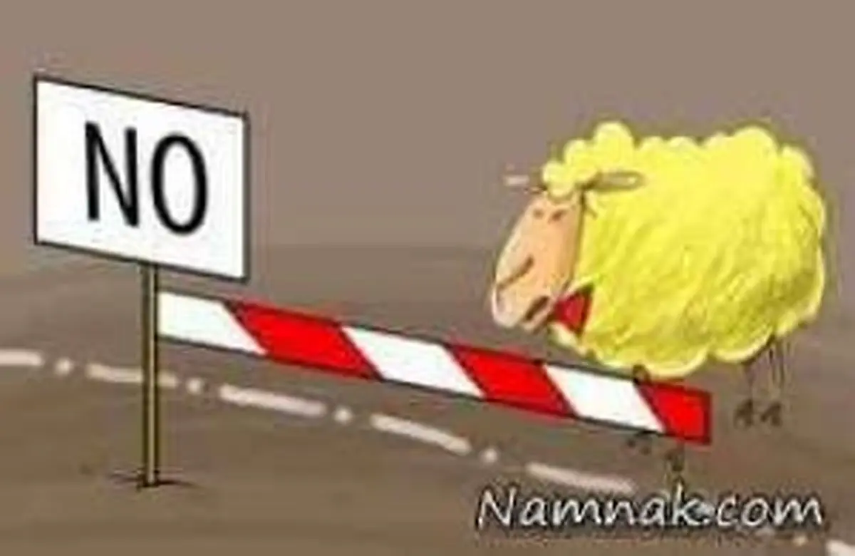 کاریکاتور گوسفند چینی