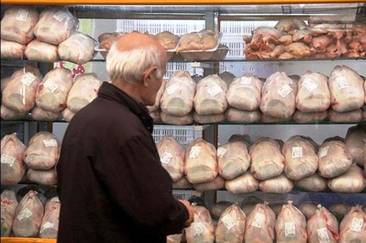 توزیع مرغ منجمد و تخم مرغ به نرخ دولتی